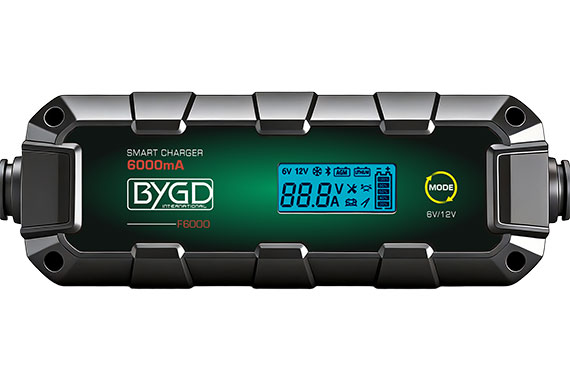 F6000 - интеллектуальное зарядное устройство 6A